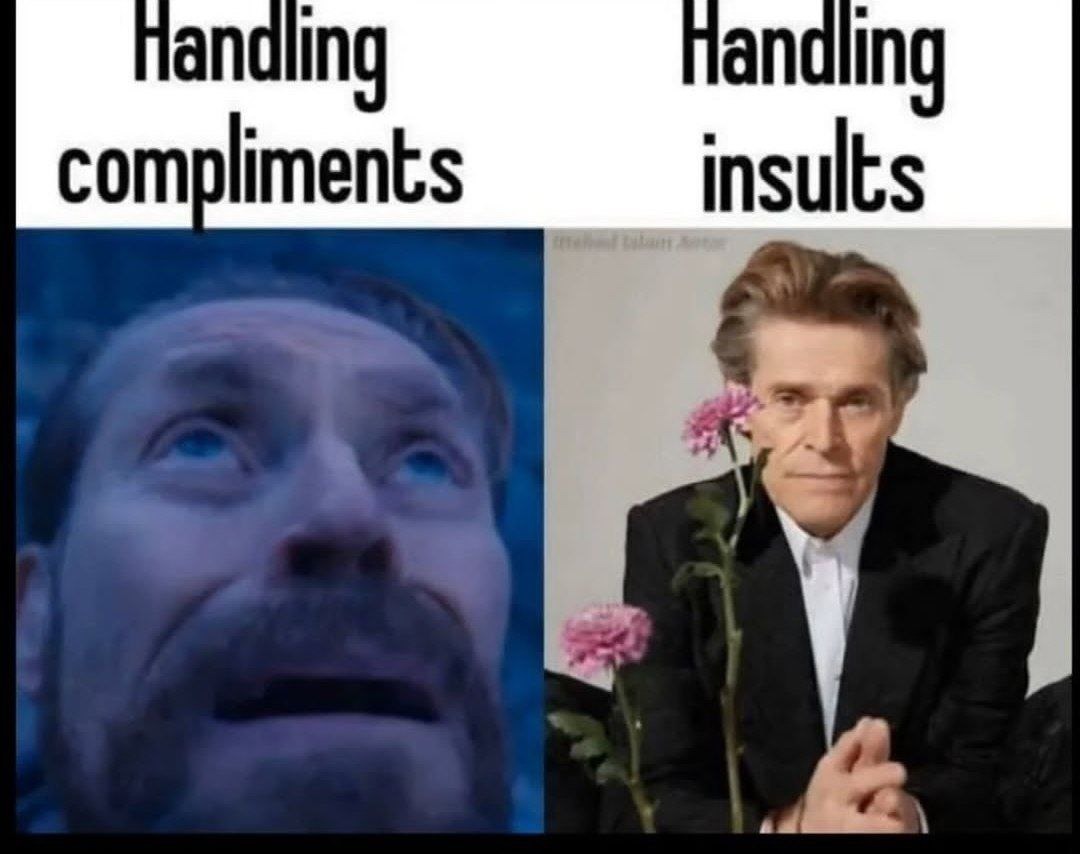 Me handling insults - meme