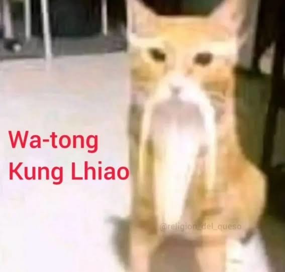 Wa-Tong Kung Liao - meme