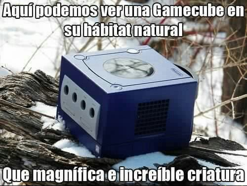 Gamecube - meme