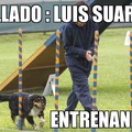 Luiz Suarez Pillado