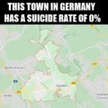 Suicide rate 0%
