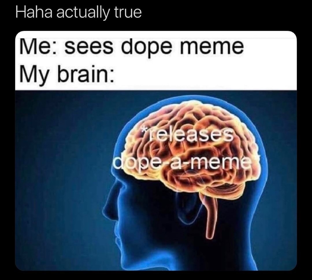 Dopamine release - meme
