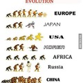 Evolution in diferent countries