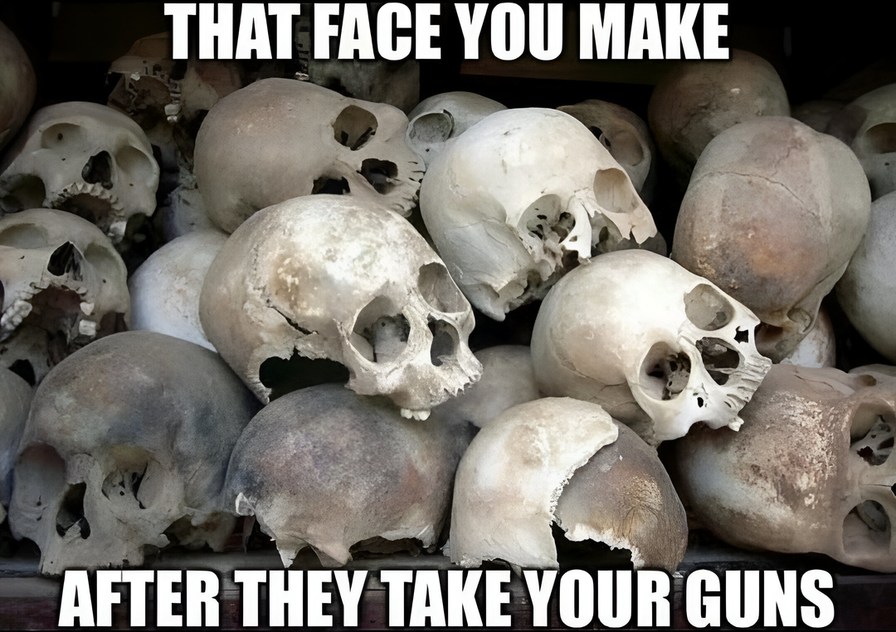 The face you make after they take your guns - meme