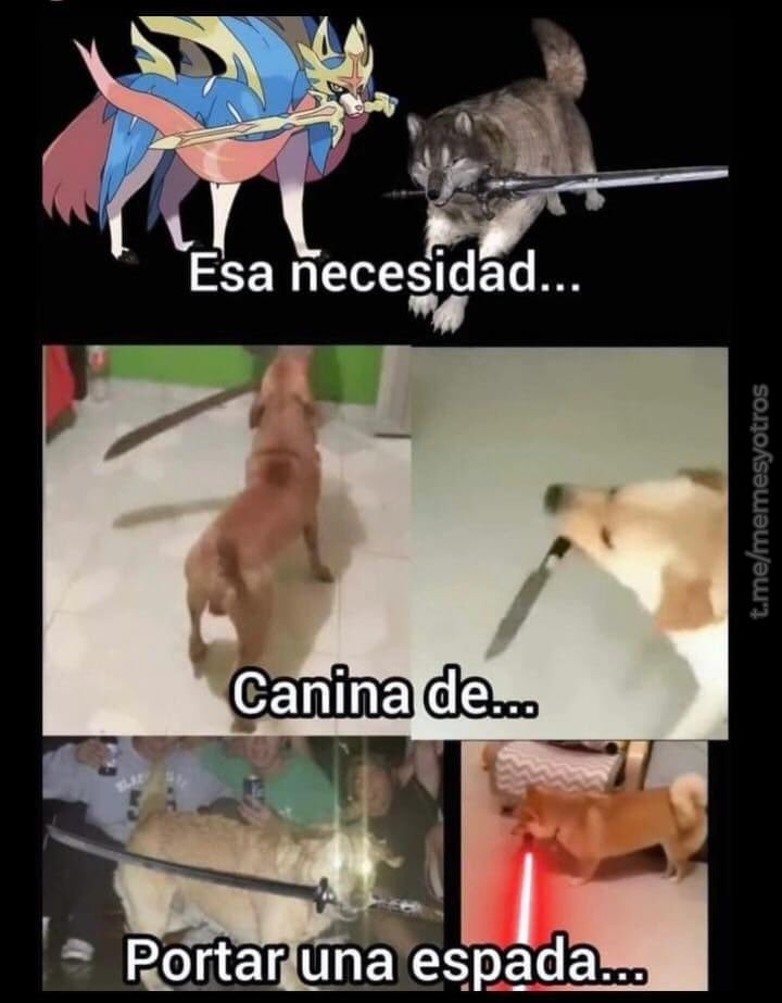 Perros con espada - meme