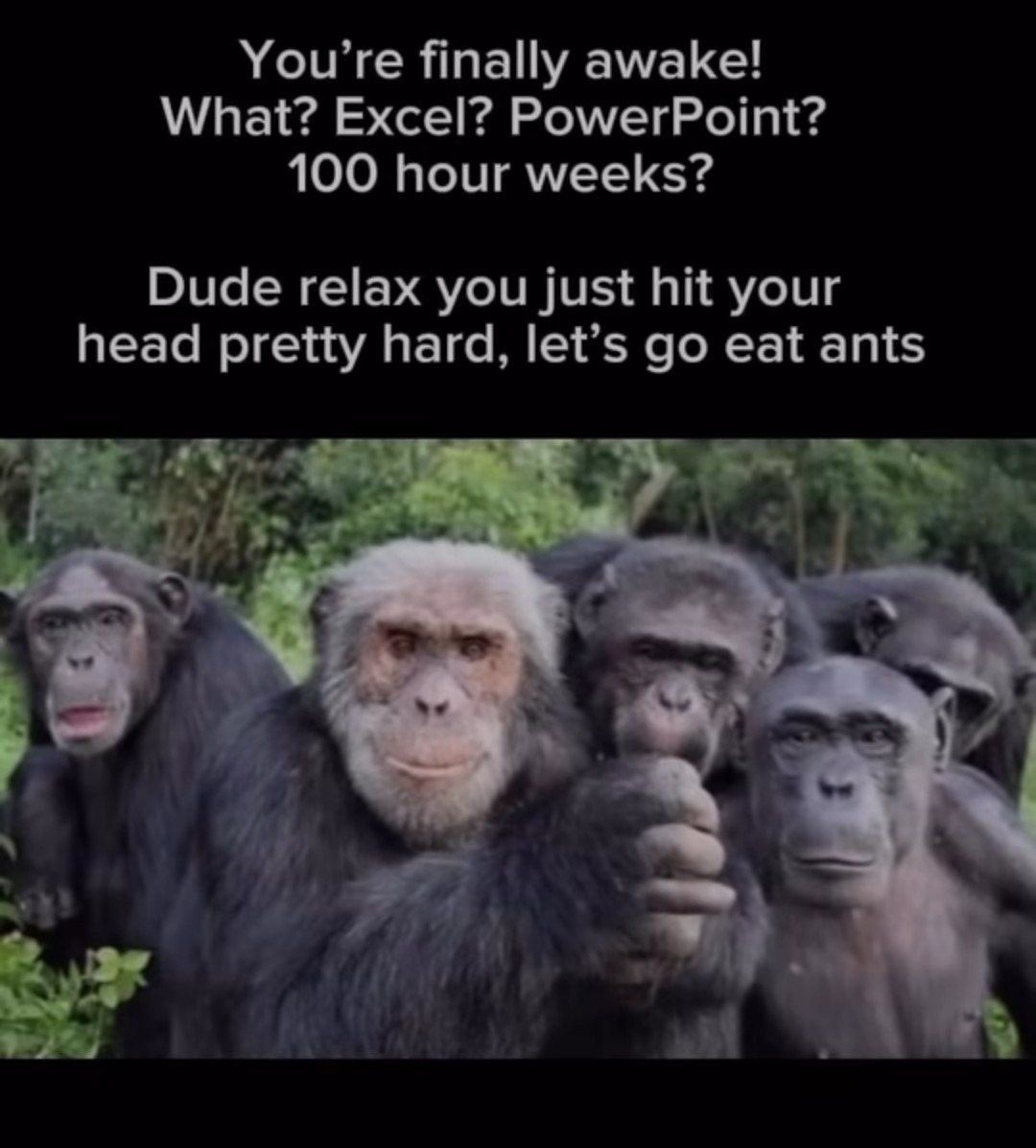 Title - meme
