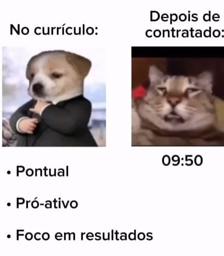 El CV dice proactivo, pero llegué tarde con resaca - meme