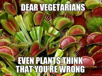 Flesh eating plants - meme