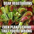 Flesh eating plants