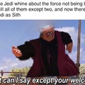Palpatine did nothing wrong