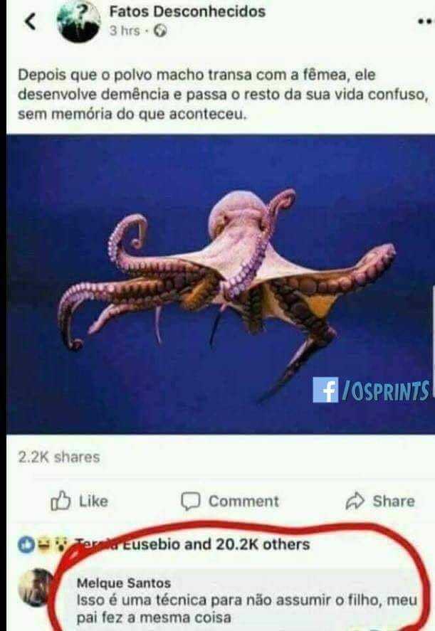 O POLVO BAFORANDO LOLÓ MANO KKKKKKKKKKKKKKKKKKKKKKKK QUEM VENDEU