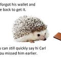 Remember Carl?
