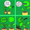 Pobre planta