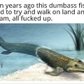 Stupid fish