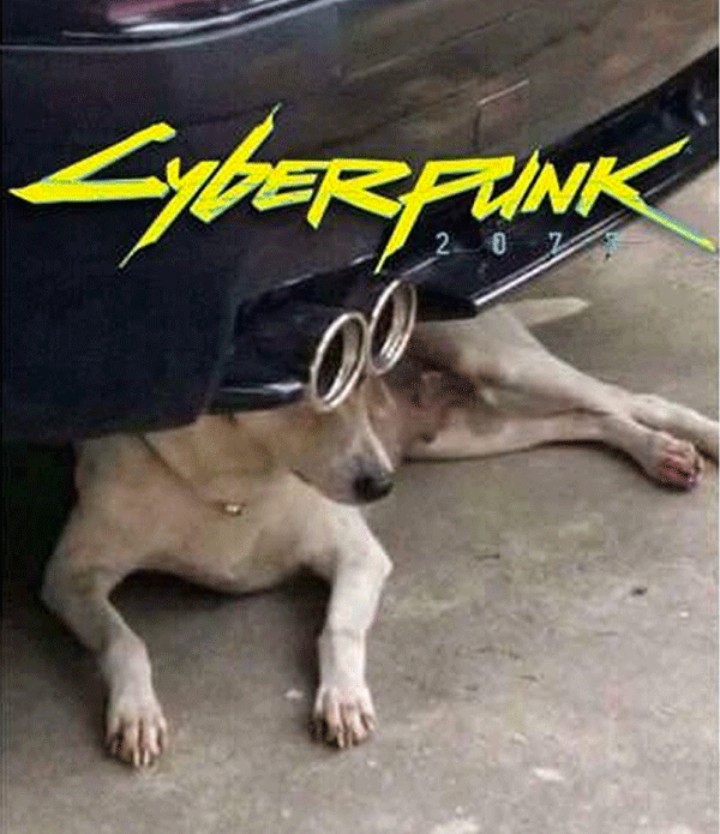 El Cyberpunk - meme