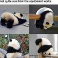 Don't get your pandas in a wad.
