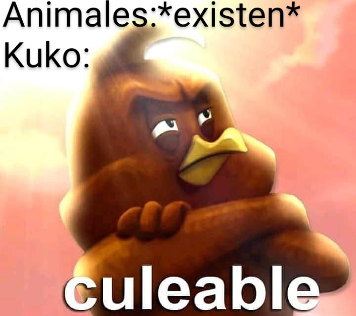Típico de kuko - meme