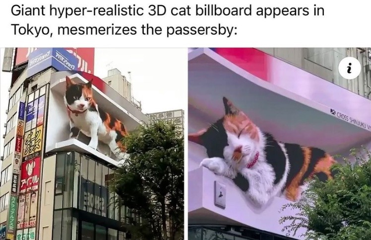 giant cat - meme