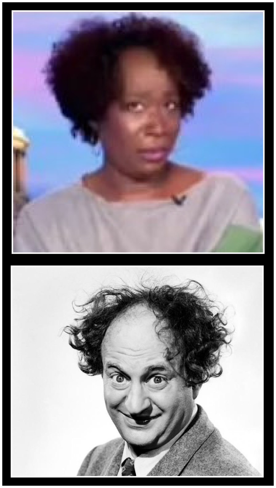 They say everyone has a double. - meme
