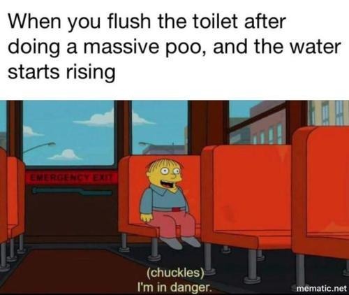 poo clogged - meme