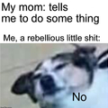 Title is a rebellious little shit