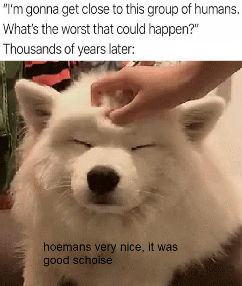 How dogs and humans became friends - meme
