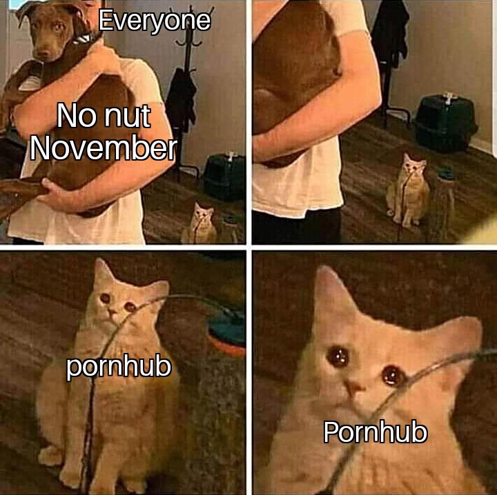 No nut November - meme