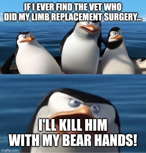 Bear hands - meme