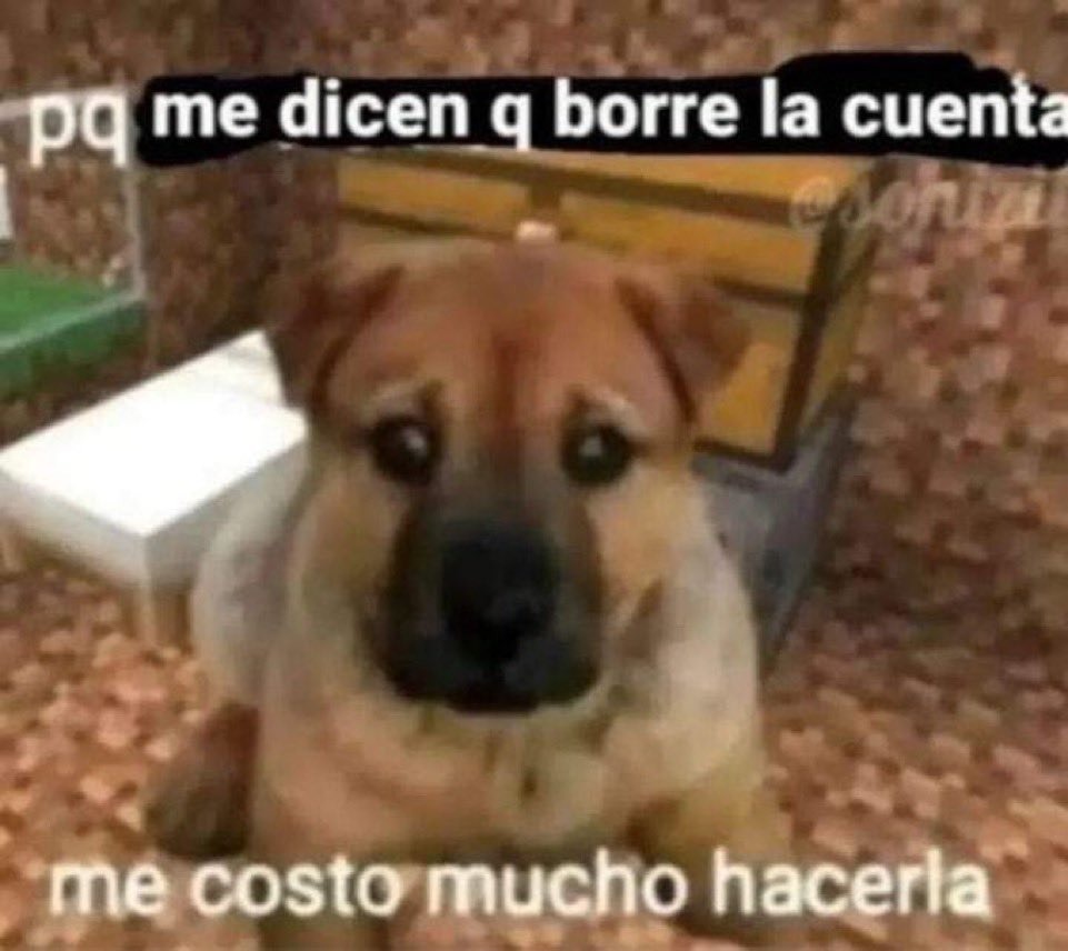 sniff, sniff - meme