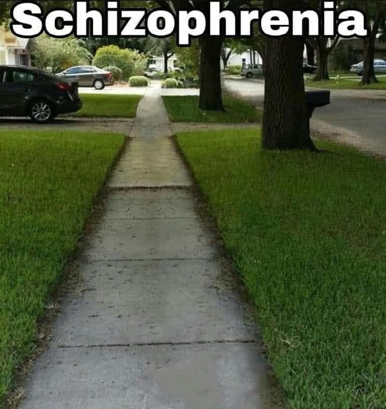 Schizophrenia but make it a lifestyle aesthetic - meme