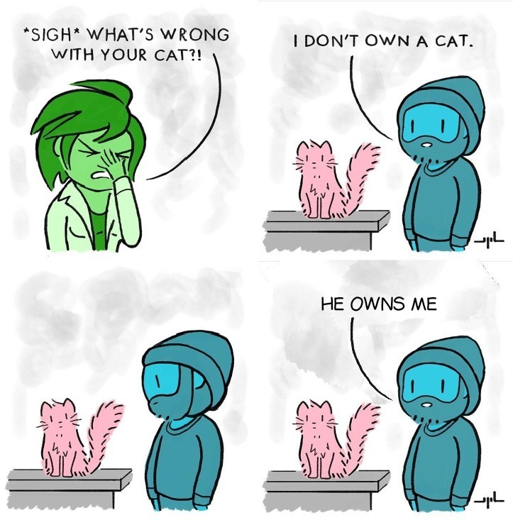 Every cat 'owner' - meme