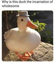 Add this to the untitled goose game - meme