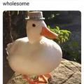 Add this to the untitled goose game