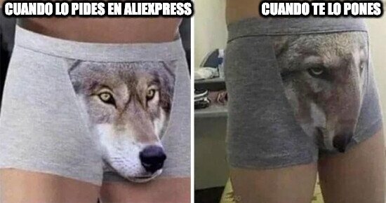 Calzoncillo lobo de Aliexpress - meme