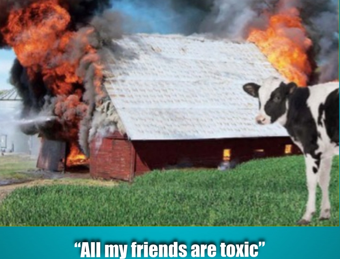 EXPLODING GAS-FROM COWS - meme
