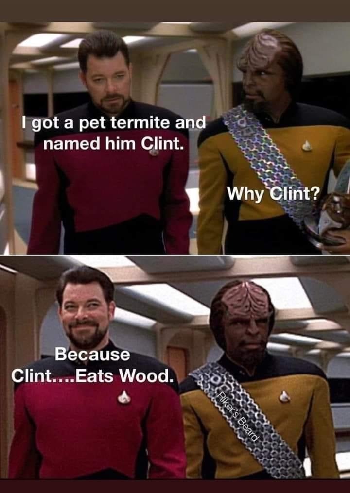 Clint East Wood - meme