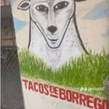 Tacos de Borrego