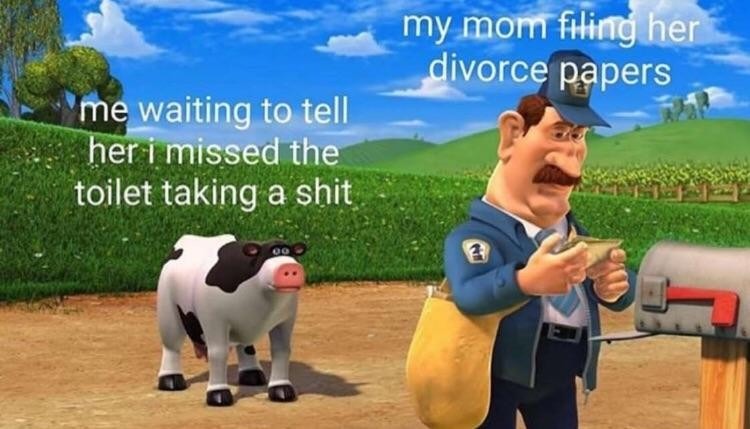Dongs in a divorce - meme