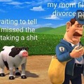 Dongs in a divorce