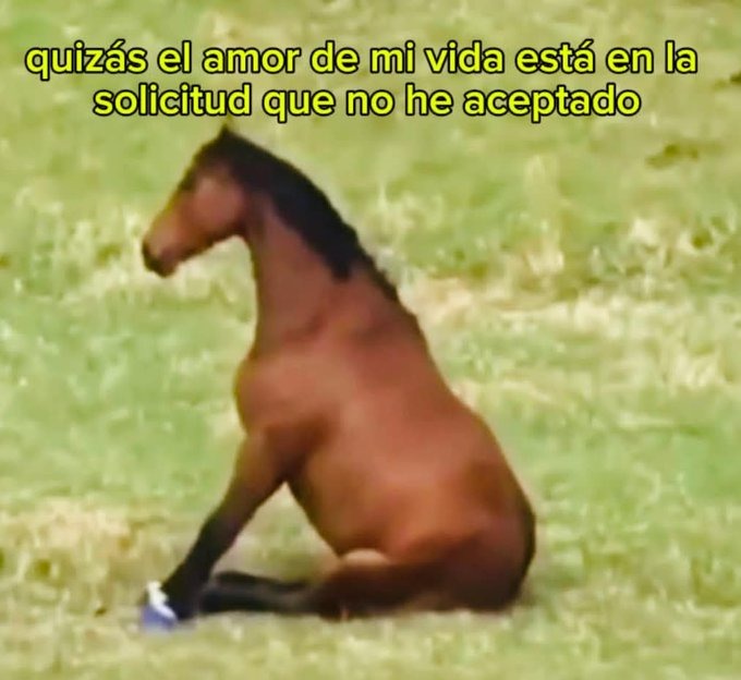 quizas - meme