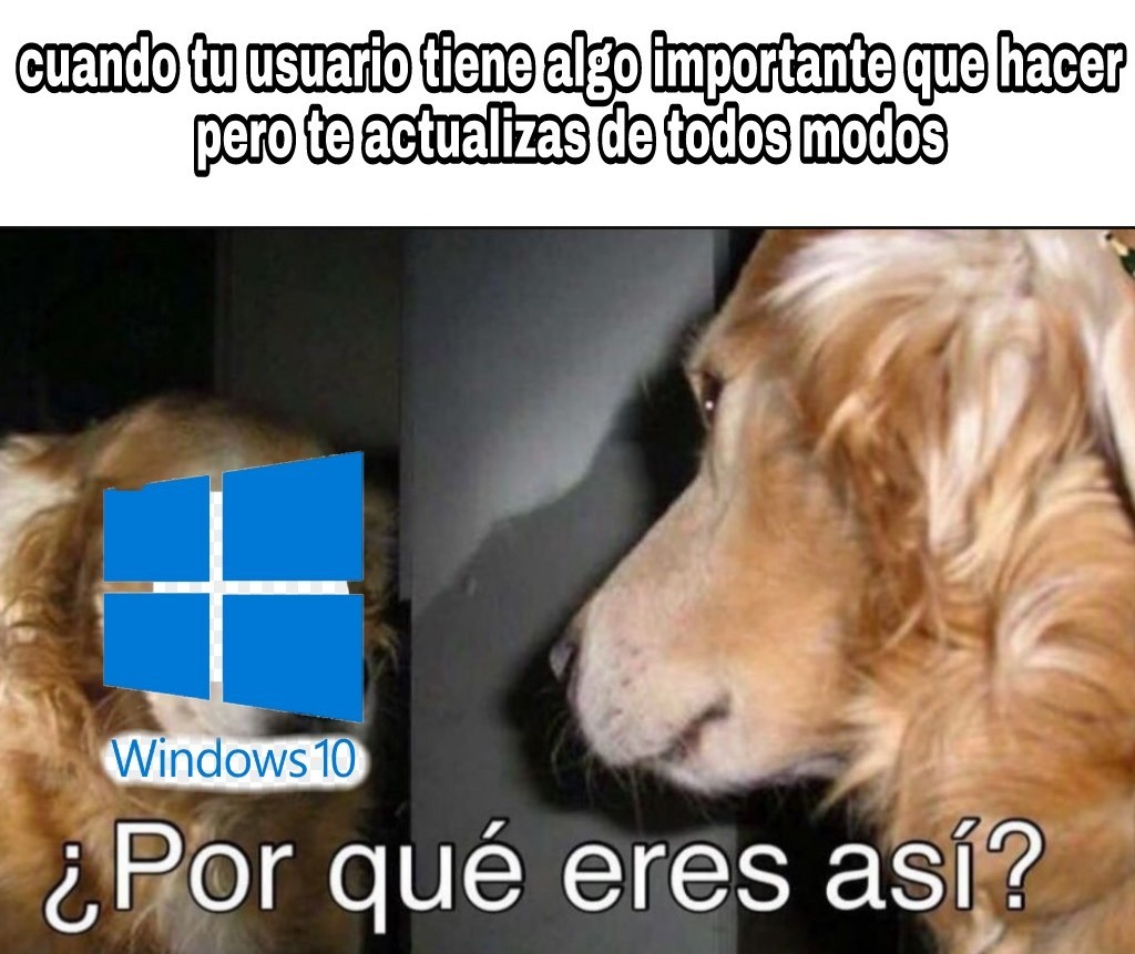 Windows 10 señores - meme