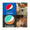 Bepis is Life
