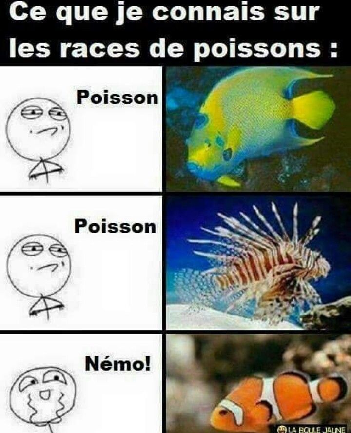 Poisson - meme