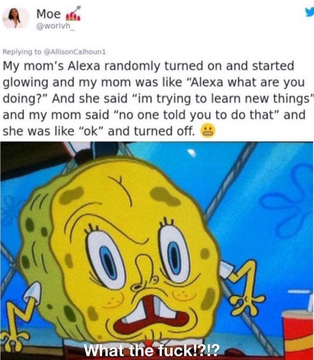 My mom's Alexa randomly turned on - meme