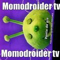 Momodroider tv