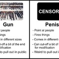 Gun vs Penis