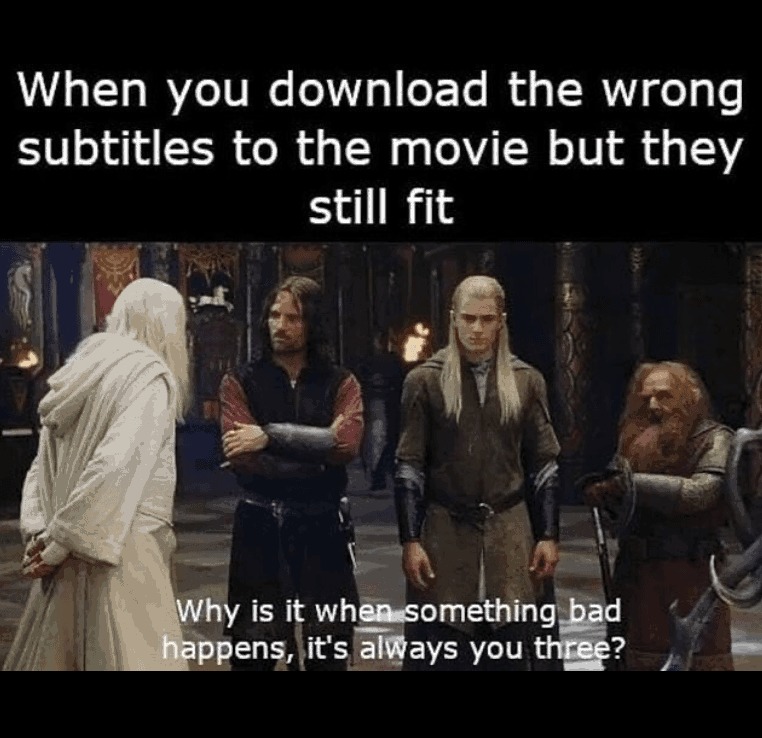 when you downloaded subtitles for the wrong movie : r/lotrmemes