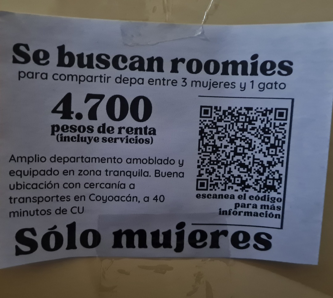 Y un gato... cuarto 241 dolares CDMX - meme