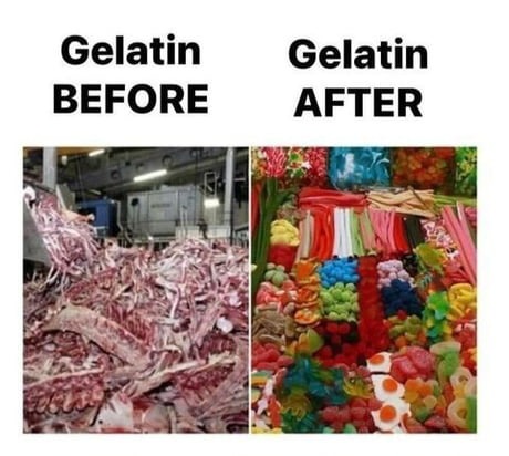Gelatin be like: before vs after - meme