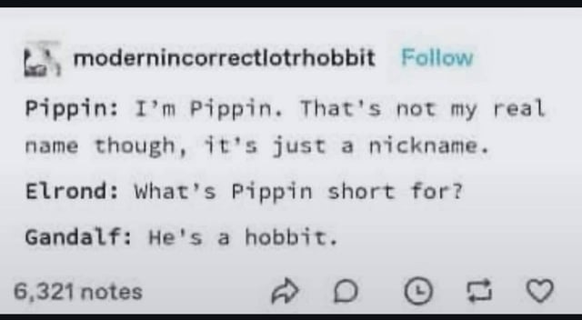 his name is Pippin cause he’s short for everything - meme